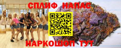 мдпв Донской