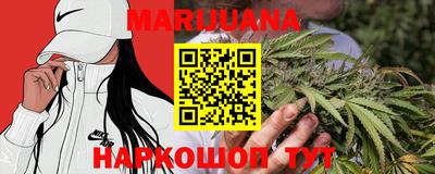 мдпв Донской