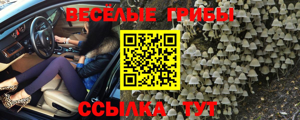 Галлюциногенные грибы Magic Shrooms Майский